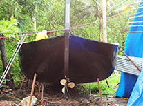 HOUSEBOATS BUILDINGS